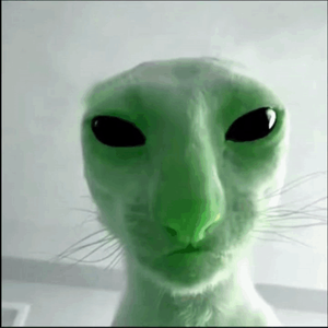 alien cat.png