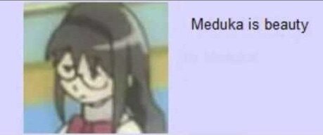 meduka.jpg