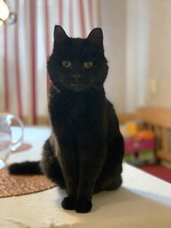 IMG_3258.jpeg