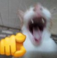 FqkYaM8WIAMn3mF.png