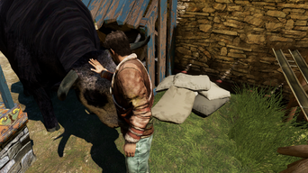 Uncharted 2  Among Thieves™_2.png