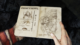 Uncharted 2  Among Thieves™_5.png