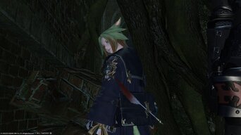 ffxiv_03122013_012615.jpg