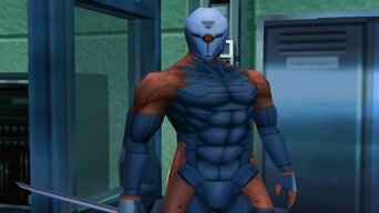 GrayFox.jpg