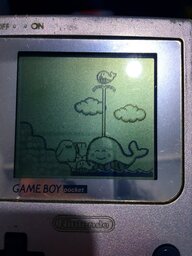 327260034_487026633632241_1870449099669062049_n.jpg