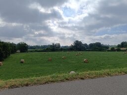IMG_20260603_092749.jpg