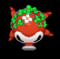 1000068010.png