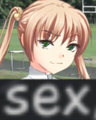 images.jpeg