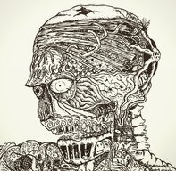 IMG_5237.jpeg