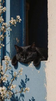 IMG_3979.jpeg