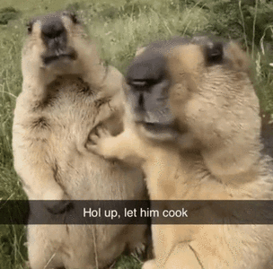 tenor (2).gif