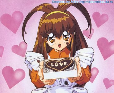 akari1.jpg