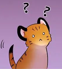 boxcat.png