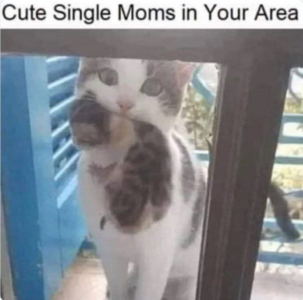cute single mom.png