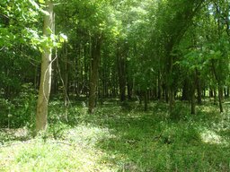 DSC01307.JPG