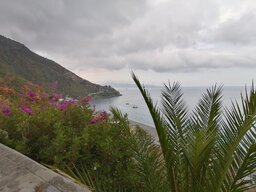 IMG_20230908_101559.jpg