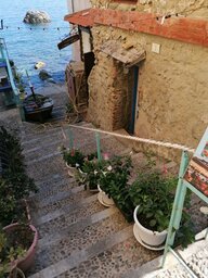 IMG_20230912_100857.jpg