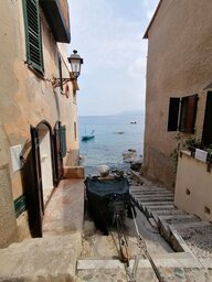 IMG_20230909_120301.jpg