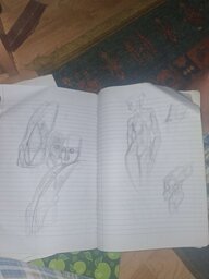 20250507_194350.jpg