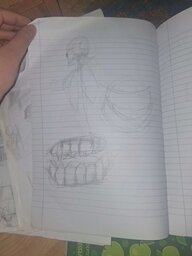 20250507_194455.jpg