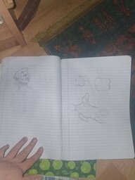 20250507_194620.jpg