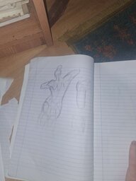 20250507_194631.jpg