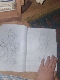 20250507_195002.jpg