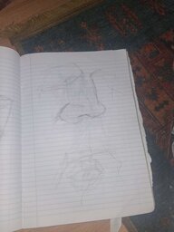 20250507_195109.jpg