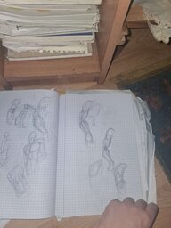 20250507_195438.jpg