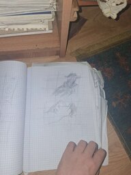 20250507_195448.jpg