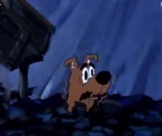 Screenshot_20250520-214958.png