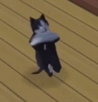 fadding-cat(2).gif