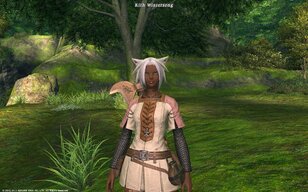 FF14 1.0.jpg