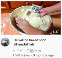 619ec45371bcc.jpeg