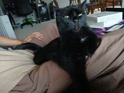 20250609_134609.jpg