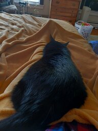 20250607_103444.jpg