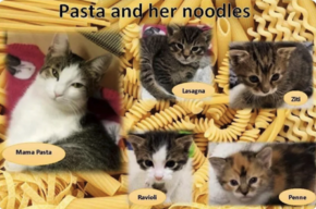 1751573883884.png