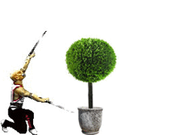 community_image_1376897003.gif