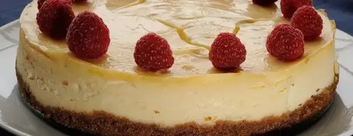 PUD5CHEESECAKEPLAIN-620x240.webp