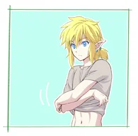 link-taking-off-his-shirt-v0-igh06e3eyh1d1.webp