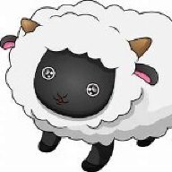 Sheep