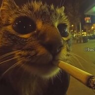 Furosha