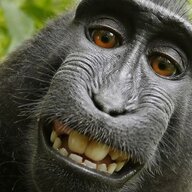 MonkeyMondays