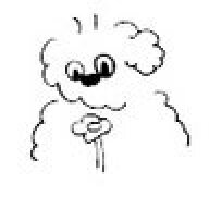 FlowerDawg