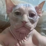 IhaveSmallPp