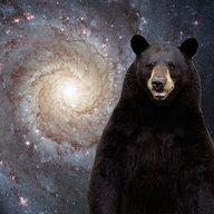 spacebear