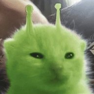 Glorpy