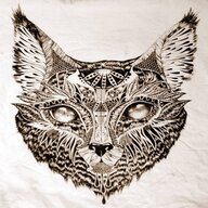 SceneCAT