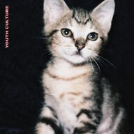 LionHeart14