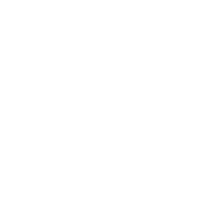 RAR580